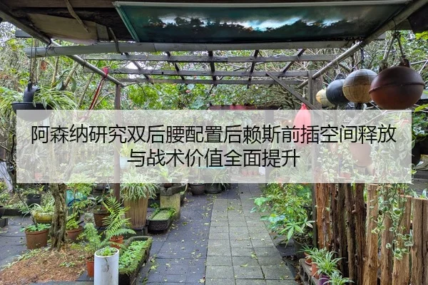 阿森纳研究双后腰配置后赖斯前插空间释放与战术价值全面提升